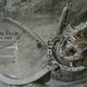 Image for article titled Lord Of The Rings Cross-Sections!